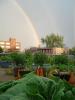 From the garden, we can see the pot of gold!